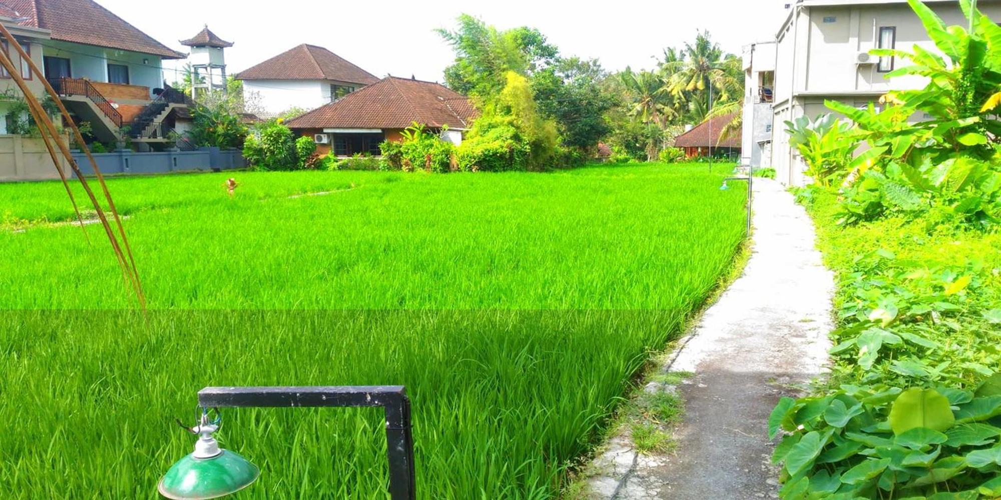 Keladi House Ostello *