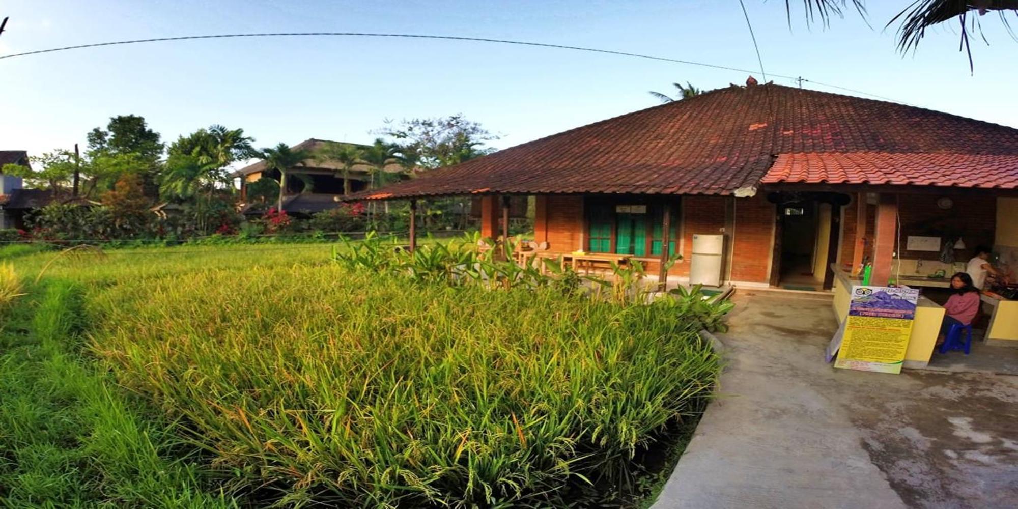 Keladi House Ostello *
